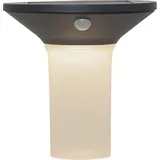 Star Trading LED-Solar-Wandleuchte'Valta' mit Bewegungssensor