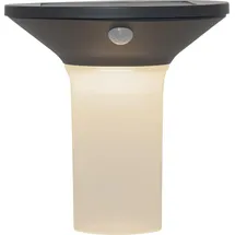Star Trading LED-Solar-Wandleuchte'Valta' mit Bewegungssensor