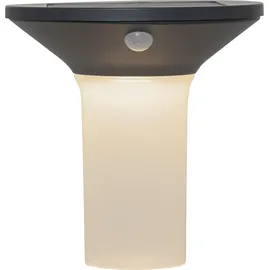 Star Trading LED-Solar-Wandleuchte'Valta' mit Bewegungssensor