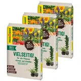 FLORAGARD Bio-Erde Vielseitig 3 x 10 l