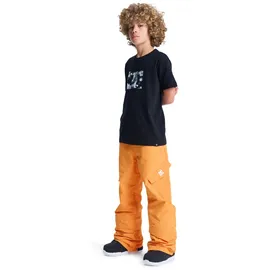 DC Shoes Banshee Schneehose Oriole 14 Jahre
