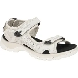ECCO Offroad Damen gravel 39