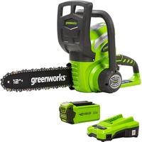 Greenworks G40CS30K2 / 30 cm