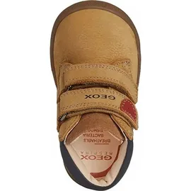 GEOX Baby - Jungen B Macchia Boy Erste Schritte, Biscuit, 24 EU