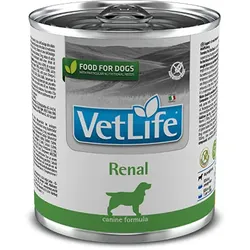 Farmina Vet Life Renal Dog 300g