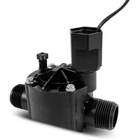 Rain Bird Magnetventil 1 Zoll schwarz