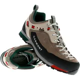 Garmont Herren Dragontail LT GTX Schuhe (Größe 43, grau)