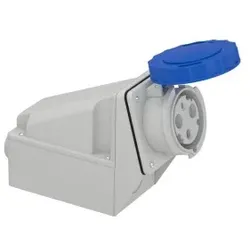 Schneider Electric 81178 Wandsteckdose, 63A, 2p+E, 200-250 V AC, IP67