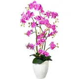 CREATIV green Deko-Orchidee Phalaenopsis in lila | Gr.: onesize