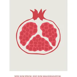 Bild KOMAR "Cultivated Pomegranate", rot (farbe bild(er): rot), B:40cm H:50cm, Papier, Holz, Bilder, Wandbild zur Dekoration - ohne Rahmen