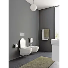 Laufen Pro (8209664000001)