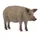 Schleich Farm World Wollschwein 14892