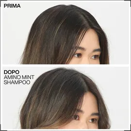 Redken Amino Mint 300 ml