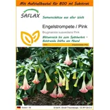 SAFLAX - Garden in the Bag - Engelstrompete/Pink - 10 Samen - Mit Substrat im praktischen, selbst aufstellenden Beutel - Brugmansia suaveolens Pink