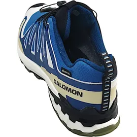 Salomon XA Pro 3D V9 GTX Herren Dark Blue/Icicle/Aloe 44