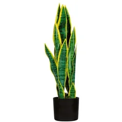 meet Kunstpflanze »Sansevieria« 65 cm, 65 cm