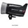 Elinchrom ELC PRO HD 500