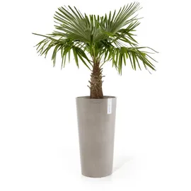 Ecopots Amsterdam Ø 50 x 90 cm Taupe
