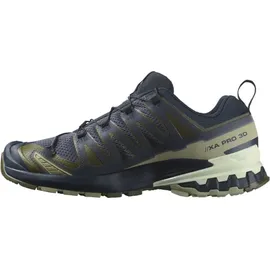 Salomon XA Pro 3D V9 Herren India Ink/Olive Night/Aloe Wash 46 2/3