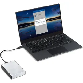 Seagate One Touch 4 TB USB 3.2 Silber STKZ4000401