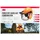 3M Forsthelm Schutzhelm-Kombi-Set G3000CUVFOREST, orange, Gehörschutz & Edelstahl-Visier, Größe 53-62