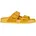 Dark Yellow 39