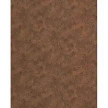 WallFace Wandpaneel Wallface 26523 OXIDIZED Kupfer 2 St. 100 x 260 cm