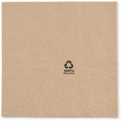 BIOZOYG 100 Stück Servietten 33x33cm Papierservietten, Einwegservietten, 2-lagig, 1/4 Falz, aus Recyclingpapier, ideal für Gastronomie und Events