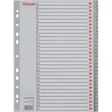 Leitz Register DIN A4 Überbreite Grau/Rot 10 St.