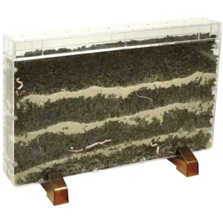 Eduplay 150-083 Wurzelhaus / Wurmhaus 30 x 19 x 4 cm, mehrfarbig