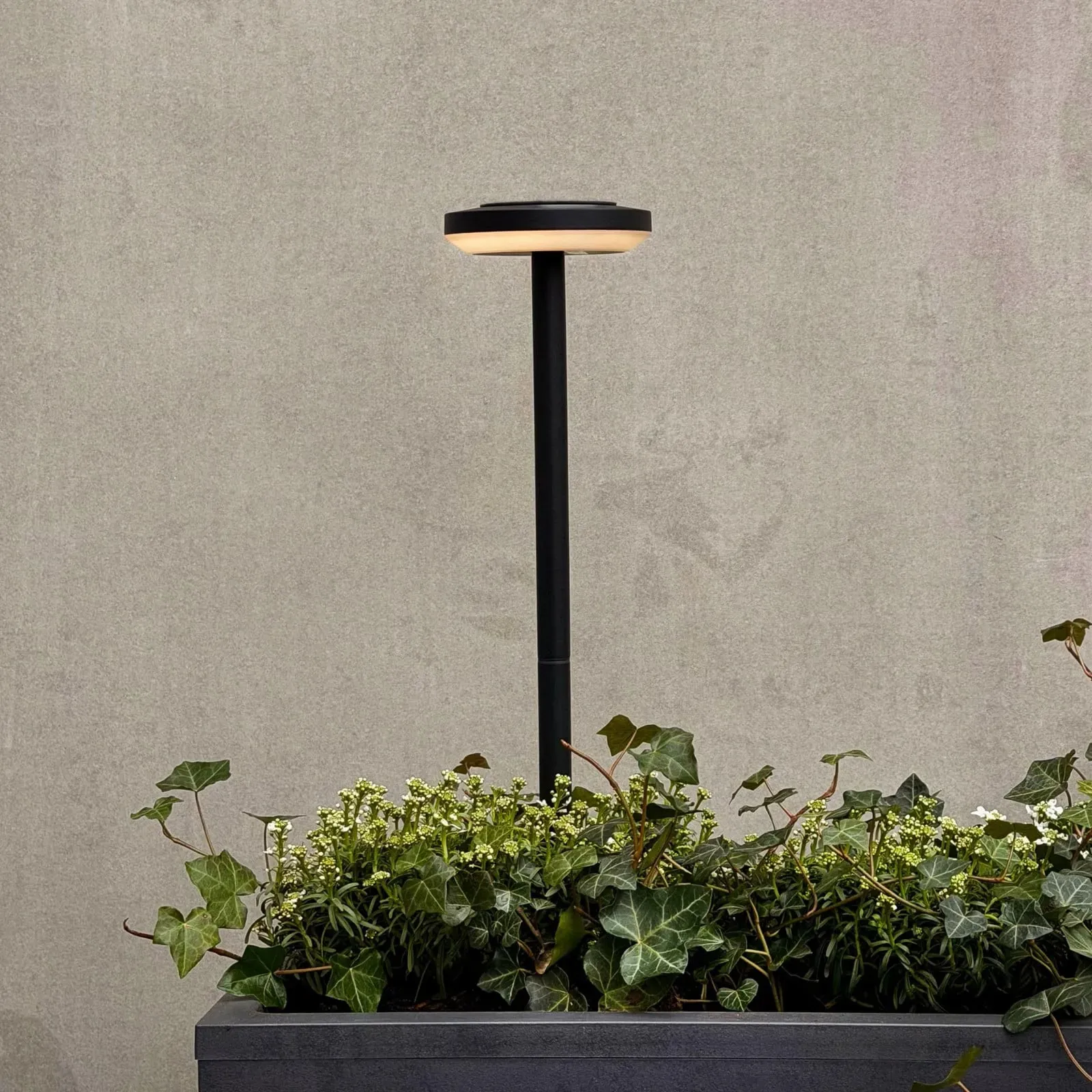 Außenleuchte Dyberg Larsen, Otera, Schwarz, Aluminium, Modern - 50