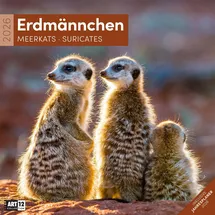 Ackermann Erdmännchen Broschürenkalender 2026 - 30x30 - Art12