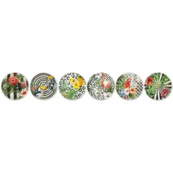 Excelsa Set mit 6 Aperitif Gerichte Tropical Chic Porzellan 15x2x15 cm Bunt