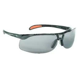 Brille Protege, TSR, beschlagfr.,schwarz/grau - schwarz/grau