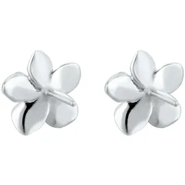 Elli Ohrstecker Frangipani Blüte weiß 304821112 onesize