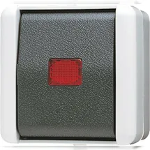 Jung Wechselschalter 806 KOW