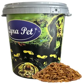 Lyra Pet 5 kg Lyra Pet® Soldatenfliegenlarven in 30 L Tonne