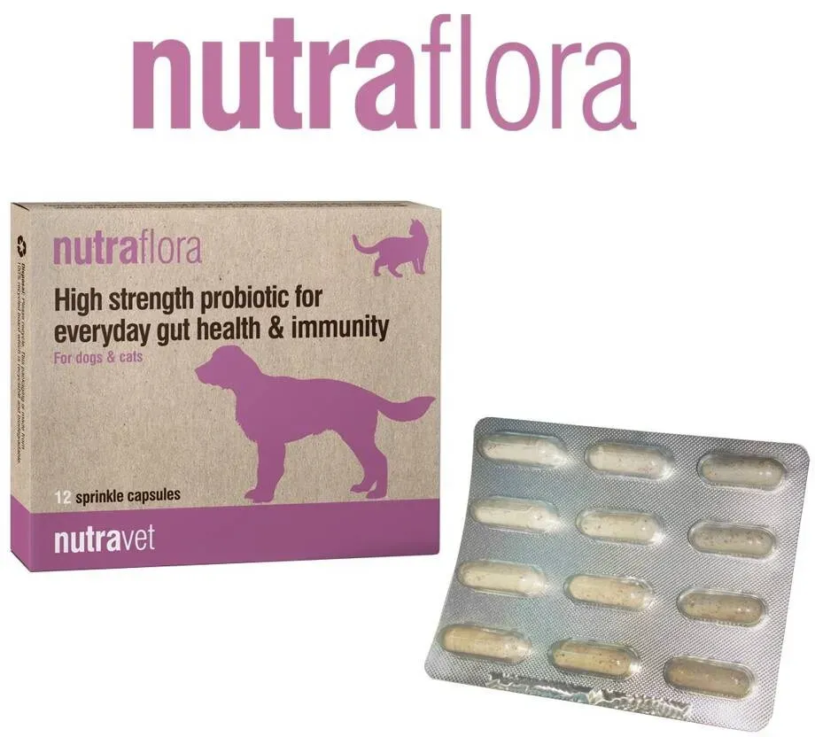 NUTRAVET Nutraflora für Hunde & Katzen 12 Kapseln - Ein Probiotikum, das die tägliche Darm- und Immungesundheit stark unterstützt (Rabatt für Stammkunden 3%)