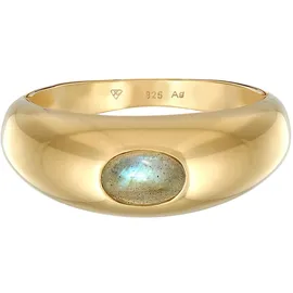 ELLI PREMIUM Elli Ring 925 Sterling Silber Siegelring in Gold | Gr.: 58
