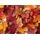 Proregal Windschutz 150 x 500 cm Rot Kunststoff