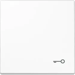 Jung Wippe Symbol TÜR aws LS 990 T WW LS990TWW