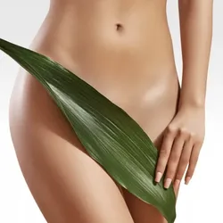 Damen Waxing - Hollywood ( Bikini Intim komplett )