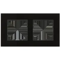 MDT Glasrahmen 2-fach BE-GTR2S.01S