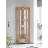 fif Möbel Eckvitrine »TRIO Höhe ca. 172 cm, ink. Beleuchtung«, Eckvitrine/Glasvitrine 1x Glastür, perfekt für Sammler, Sammlervitrine