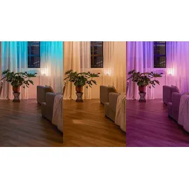 Philips Wandschalter Modul 2x 2-er Pack