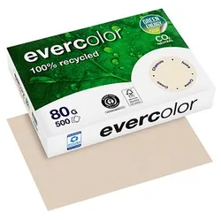 Clairefontaine Recyclingpapier Evercolor chamois DIN A4 80 g/qm 500 Blatt