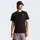 The North Face Evolution Simple Dome REGULAR SHORT Sleeve - TNF Black