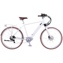 E-Citybike Cäsar 3.5 Nabenschaltung E-Bike Herren 54 cm Weiß 28 Zoll WEISS 54