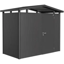 Biohort Panorama P5 2,57 x 2,97 m dunkelgrau-metallic Einzeltür