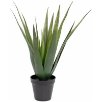 Europalms Aloe-Vera Pflanze, 60cm